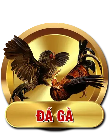 Đá gà Tip88